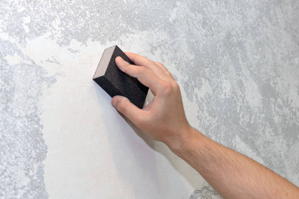 Best Asbestos and Lead Testing During Mold Inspection  in Trenton, TN