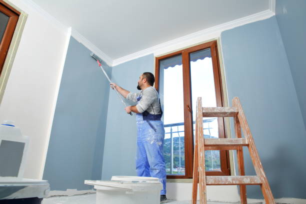Best Mold Odor Removal Services  in Trenton, TN