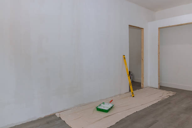 Forensic Mold Investigation in Trenton, TN