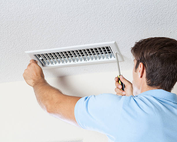 Trusted Trenton, TN Mold Removal Experts