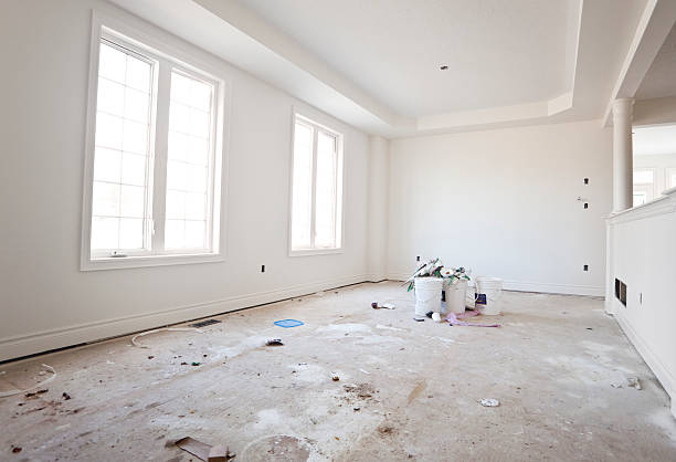 Best Black Mold Removal  in Trenton, TN