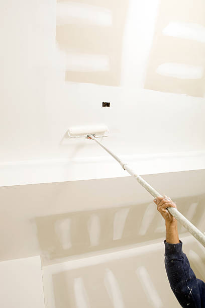 Best Mold Damage Restoration  in Trenton, TN